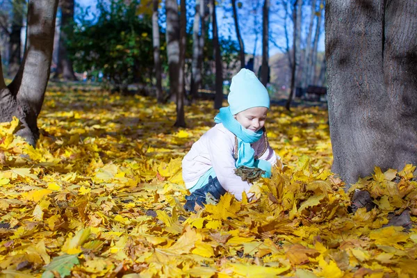 Little cute girl on the autumn meadow in a sunny fall day — Stock Photo, Image