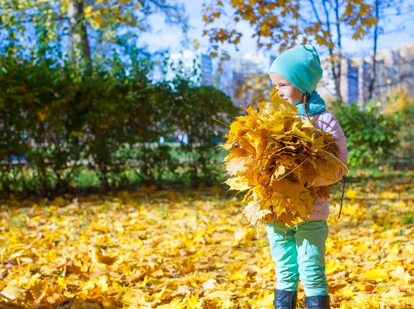 Adorable niña al aire libre en hermoso día de otoño — Foto de Stock