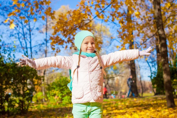 Cute little girl at beautiful autumn day outdoor — Stock Photo, Image