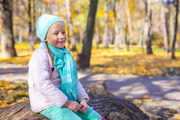 Portrait of little happy girl in the autumn park — Stock Photo, Image