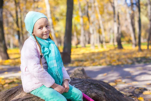 Portrait of little happy girl in the autumn park — Stock Photo, Image