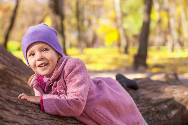 Petite fille mignonne dans le parc d'automne sur la journée ensoleillée en plein air — Photo