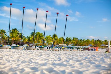 Grup egzotik caribbean Beach renkli yelkenli katamaran