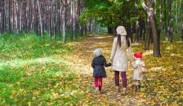 Weinig cute meisjes en jonge moeder in herfst park — Stockfoto