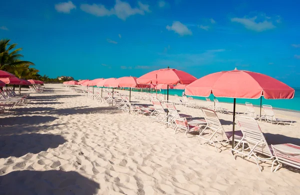 Vacker vit strand med solstolar — Stockfoto