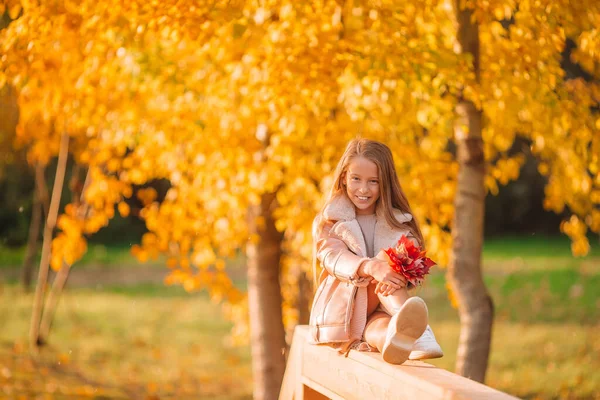 Porträt eines entzückenden kleinen Mädchens mit gelbem Blätterstrauß im Herbst — Stockfoto
