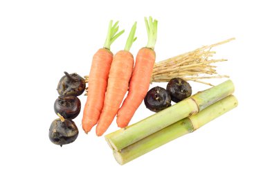 saccharum sinense, havuç, kestane cogongrass köksap