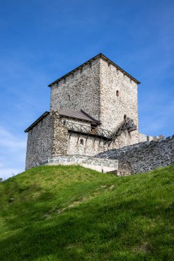 Sırbistan 'ın Vrsac tepe kulesinin güneşli ve güzel manzarası.