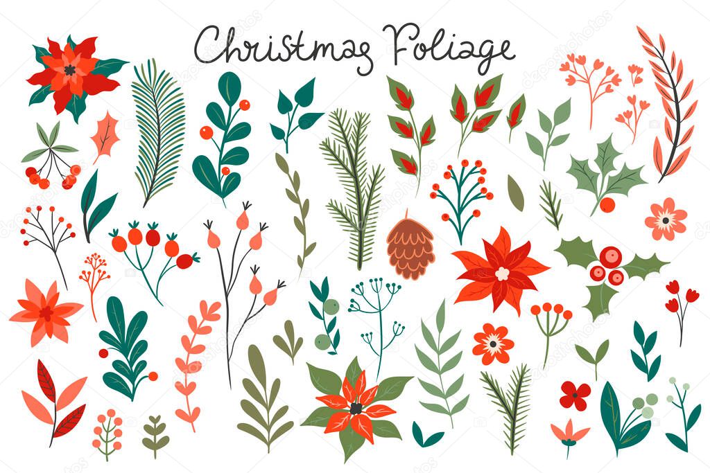 Set of Christmas foliage isolated on white background. Vector image.