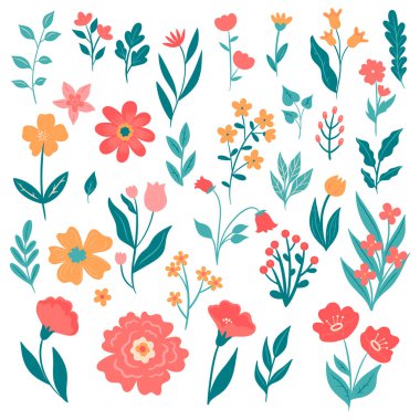 Set of spring flowers isolated on white background. Vector image.