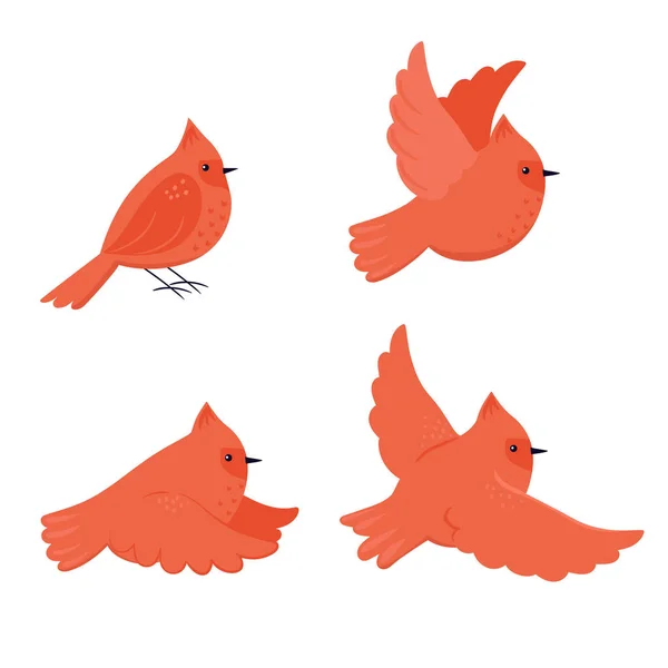 Conjunto Lindas Aves Dibujos Animados Cardenal Rojo Aislado Sobre Fondo — Vector de stock