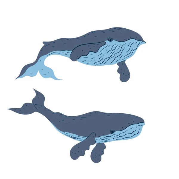 Set Balene Isolate Sfondo Bianco Immagine Vettoriale — Vettoriale Stock