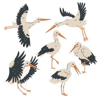 Set of storks isolated on white background. Vector image