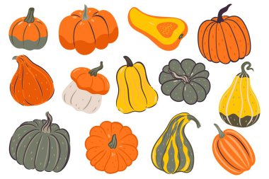Set of pumpkins of various shapes and colors isolated on a white background. Vector image