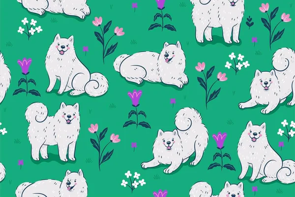 Samoyed dogs on a green meadow seamless pattern. Vector image.