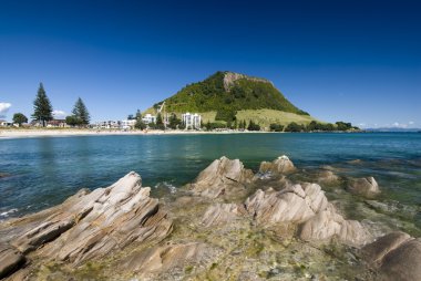 Mount Maunganui Beach, New Zealand clipart