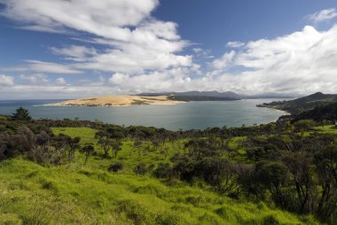 hokianga Limanı northland, north Island, Yeni Zelanda
