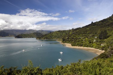 Portage bay, marlborough sesler, south Island, Yeni Zelanda. Kraliçe charlotte parça. Tasman Denizi.