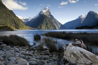 Mitre Peak, Milford Sound, South Island, New Zealand. clipart