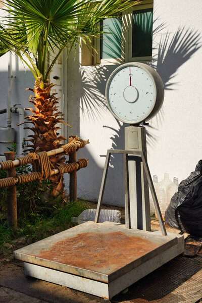 Антикварные большие весы для приема продовольственных товаров