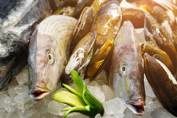 Cabeças de peixe frescas no mercado de peixe, mexilhões em gelo picado — Fotografia de Stock