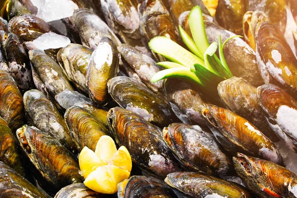 Muscheln. Frische Muscheln. Meeresfrüchte Kochen Zutaten von einem Bauernmarkt — Stockfoto