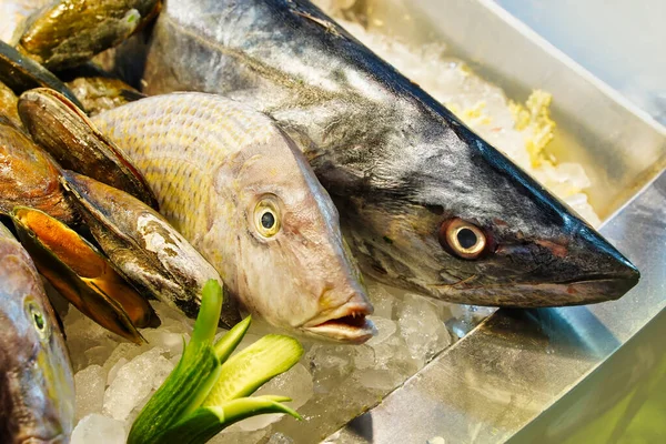 Verse viskoppen op de vismarkt, mosselen in gemalen ijs — Stockfoto