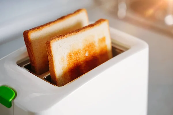 Deux tranches de pain grillé chaud dans un grille-pain. Focus sélectif sur la première pièce, fond flou — Photo
