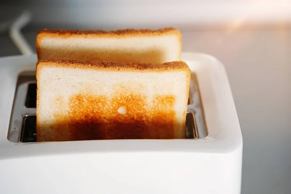 Broodrooster met brood plakjes. Elektrische broodrooster met twee hete brood plakjes close-up op witte achtergrond. — Stockfoto