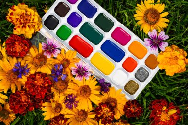 Çizim ve çiçekler için çok renkli boyalar, doğanın renkleri..