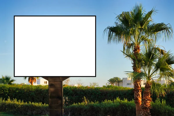 Blank horizontal billboard on the streets . Near palm trees and beautiful nature — Fotografia de Stock