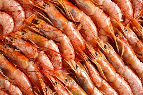 Texture background langoustine or tiger prawns for sale at the fish market — Fotografia de Stock
