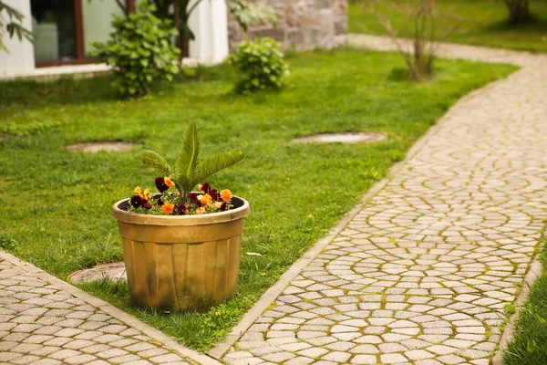 Jardín con una maceta de flores y hierba verde, sendero para caminar —  Fotos de Stock