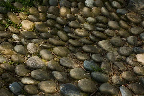 Area massaggi Riflessologia o un luogo fornito dai consigli per i visitatori del parco del lago. Massaggiare i piedi calpestando pietre affilate. Focus selettivo vista laterale — Foto Stock