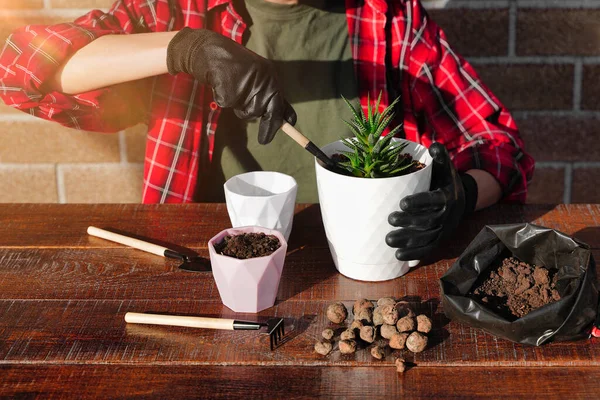 The young gardener transplants flowers into a new pot. Soil and drainage, planting tool. Hobby is home gardening