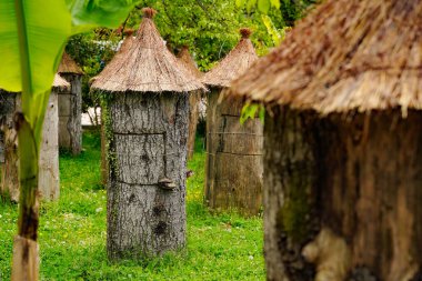 Arı kovanında alışılmadık ahşap arı kovanları. Yüksek kalite fotoğraf