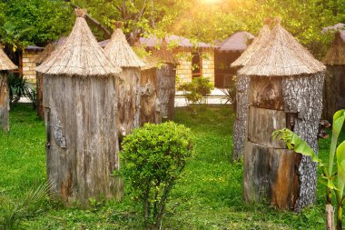 Arı kovanları, arı kovanları, güneşli bir gün. Yüksek kalite fotoğraf