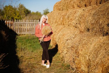 Güzel kır kızı dışarıda, doğanın tadını çıkarıyor, kırsal güneş ışığı. Güneşin parlaklığı. Kız bir buket kır çiçeği topluyor. Sıcak renklerle boyanmış. Sonbahar. Yüksek kalite fotoğraf