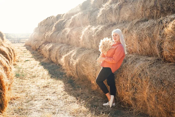 Güzel kız dışarıda, doğanın tadını çıkarıyor, gün ışığının tadını çıkarıyor. Güneşin parlaklığı. Kız bir buket kır çiçeği topluyor. Sıcak renklerle boyanmış. Sonbahar. Yüksek kalite fotoğraf