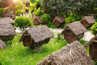 Arı kovanları, arı kovanları, güneşli bir gün. Yüksek kalite fotoğraf