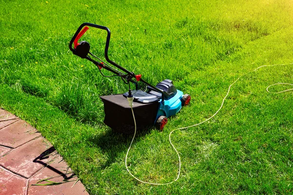 Electric lawnmower machine trimming green grass. Lawn cutting summer time. High quality photo