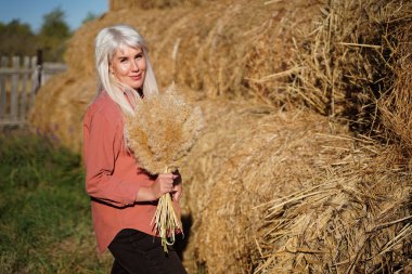 Güzel kır kızı dışarıda, doğanın tadını çıkarıyor, kırsal güneş ışığı. Güneşin parlaklığı. Kız bir buket kır çiçeği topluyor. Sıcak renklerle boyanmış. Sonbahar. Yüksek kalite fotoğraf