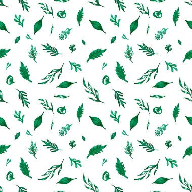 Beyaz arka planda yaprakları olan dallar. Yapraklı, dallı, kalpli, çiçeksiz desen. Botanik çizimler. Yeşil dallar. Yüksek kalite fotoğraf