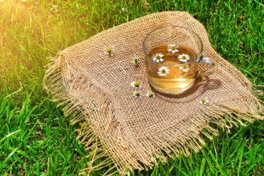 Papatya çayının doğal papatya çiçekli şeffaf bir kupada en üst görüntüsü. Yüksek kalite fotoğraf