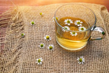 Papatya çayı şeffaf bir kupada doğal papatya çiçeğiyle. Yüksek kalite fotoğraf