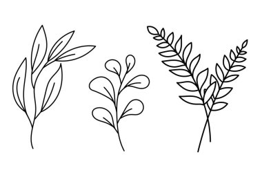 Beyaz arka planda yaprakları olan soyut dallar. Taslak biçiminde elle çizilmiş vektör çizimi. Vektör illüstrasyonu