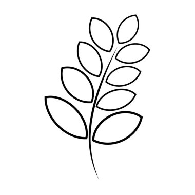 Zarif çiçek dekoratif elementler, beyaz arka planda soyutlanmış dal ve yapraklar. Vektör illüstrasyonu