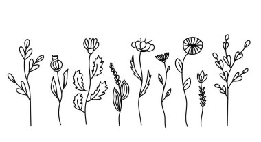 Haşhaş ve fantezi çiçek vektörü çizimi. Vektör illüstrasyonu