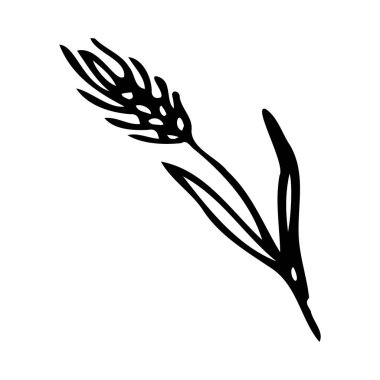 Wheat black icon on white background hand drawing doodle style. Vector illustration