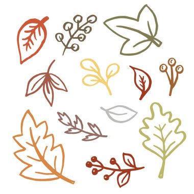 Sonbahar sade seti. Sonbahar yaprakları ve meyveler. Beyaz arka planda izole edilmiş doğa sembolü sanat koleksiyonu. Vektör illüstrasyonu